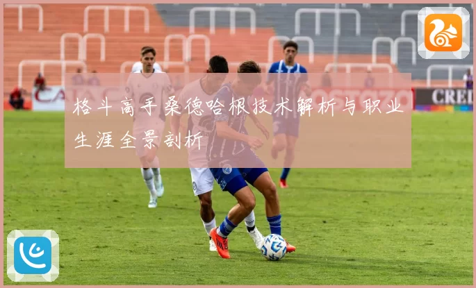 格斗高手桑德哈根技术解析与职业生涯全景剖析