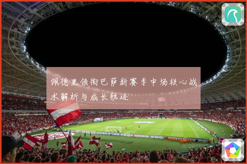 佩德里领衔巴萨新赛季中场核心战术解析与成长轨迹