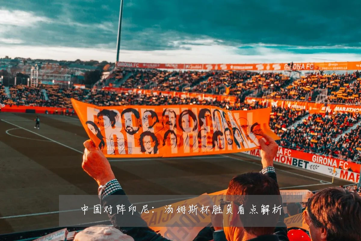 中国对阵印尼:汤姆斯杯胜负看点解析