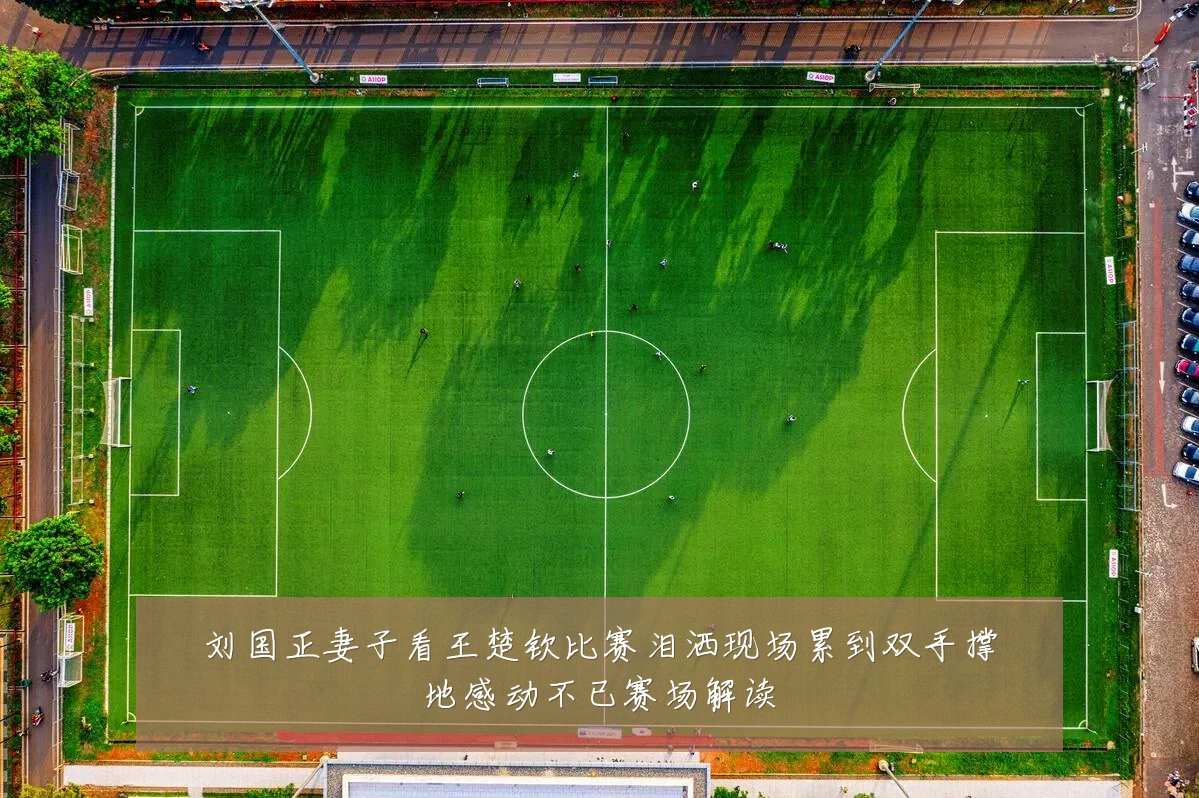刘国正妻子看王楚钦比赛泪洒现场累到双手撑地感动不已赛场解读